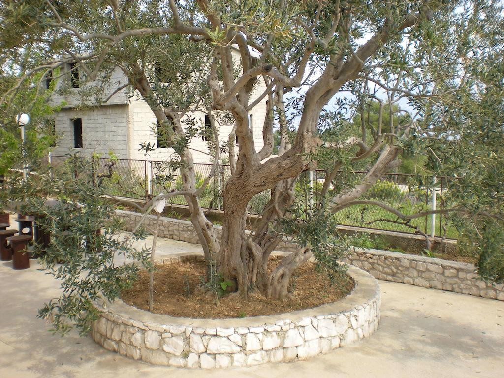 Apartments Jelica Slatine Bagian luar foto